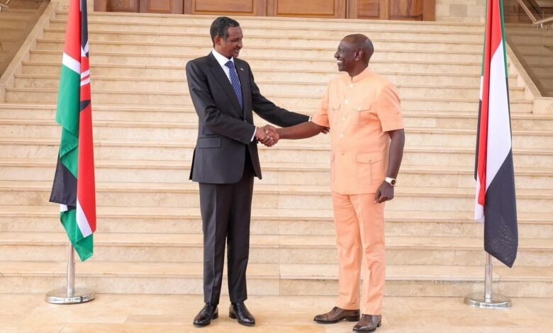 A Report Before the Security Council Tomorrow on Kenya's Support of the RSF